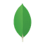 MongoDB